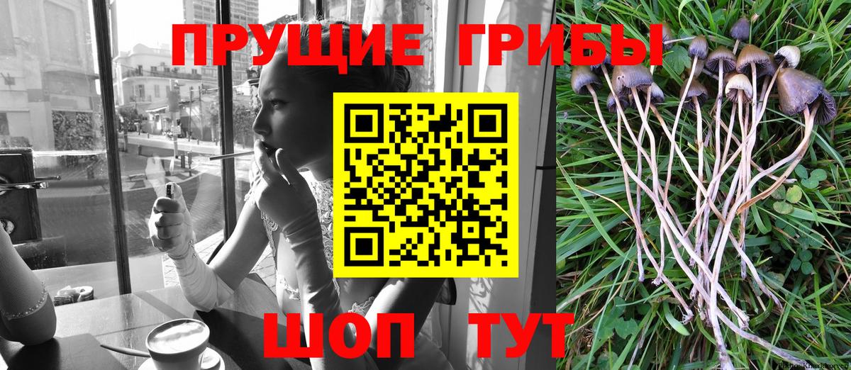 Псилоцибиновые грибы мухоморы Сарапул