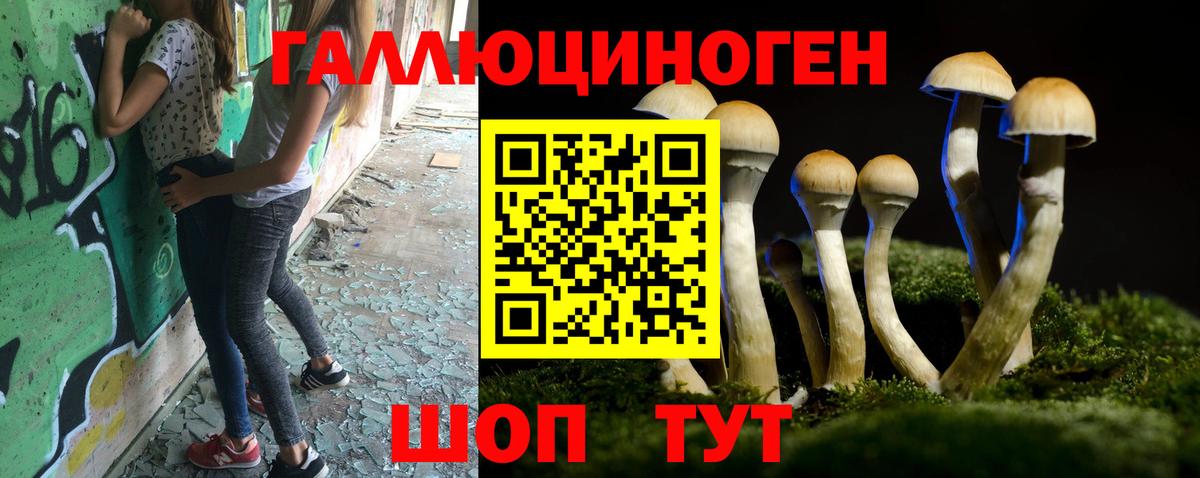 Псилоцибиновые грибы прущие грибы  Псилоцибиновые грибы мицелий  Вход с VPN  Сарапул 